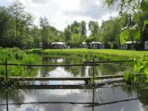 Erfgoed de Boemerang, minicamping in Drenthe, waar u kunt genieten van de natuur zoals duidelijk te zien is.